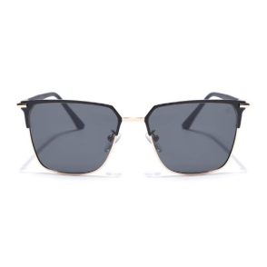 Polarized1