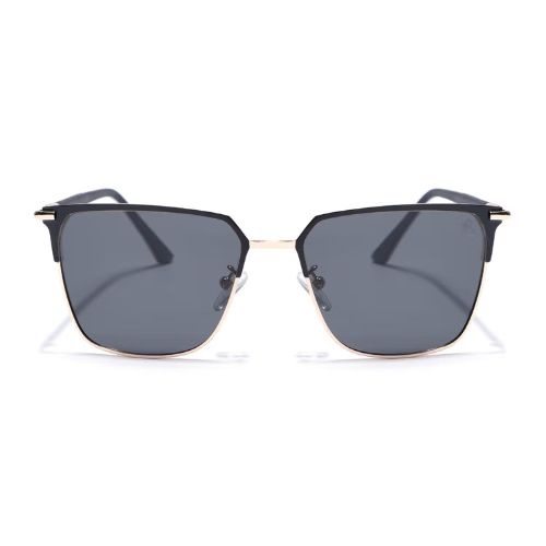 Polarized1 Polarized1