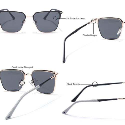 Polarized2 Polarized2