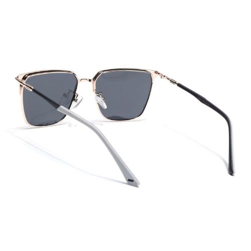 Polarized3 Polarized3