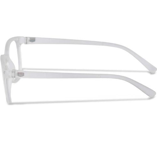 Spectacle Sunglasses2 Spectacle Sunglasses2