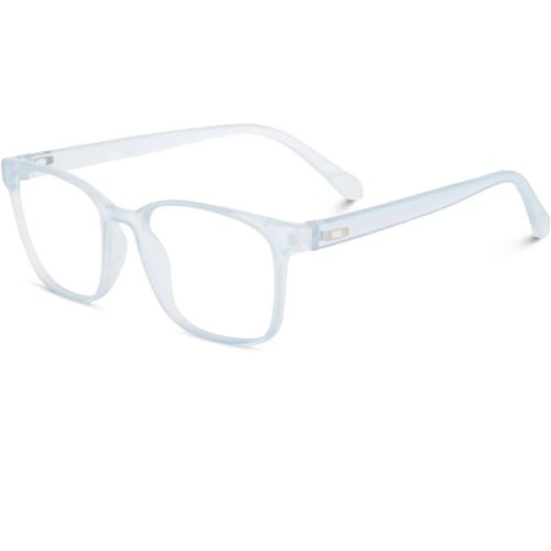 Spectacle Sunglasses3 Spectacle Sunglasses3